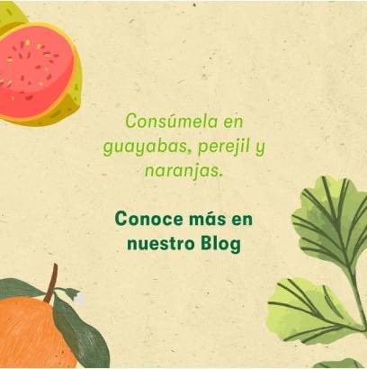 nutriestore's tweet photo. #VitaminaC Plus #Nutrilite™ es un complemento alimenticio que contiene concentrados de #bioflavonoides derivados de cítricos enteros, entre ellos #limón, #mandarina, #naranja y #pomelo, …
Más info en https://t.co/0zY5Z3hSKV

Referencia: 109741 
Cantidad: 60 comprimidos https://t.co/XcSVQcrG1e