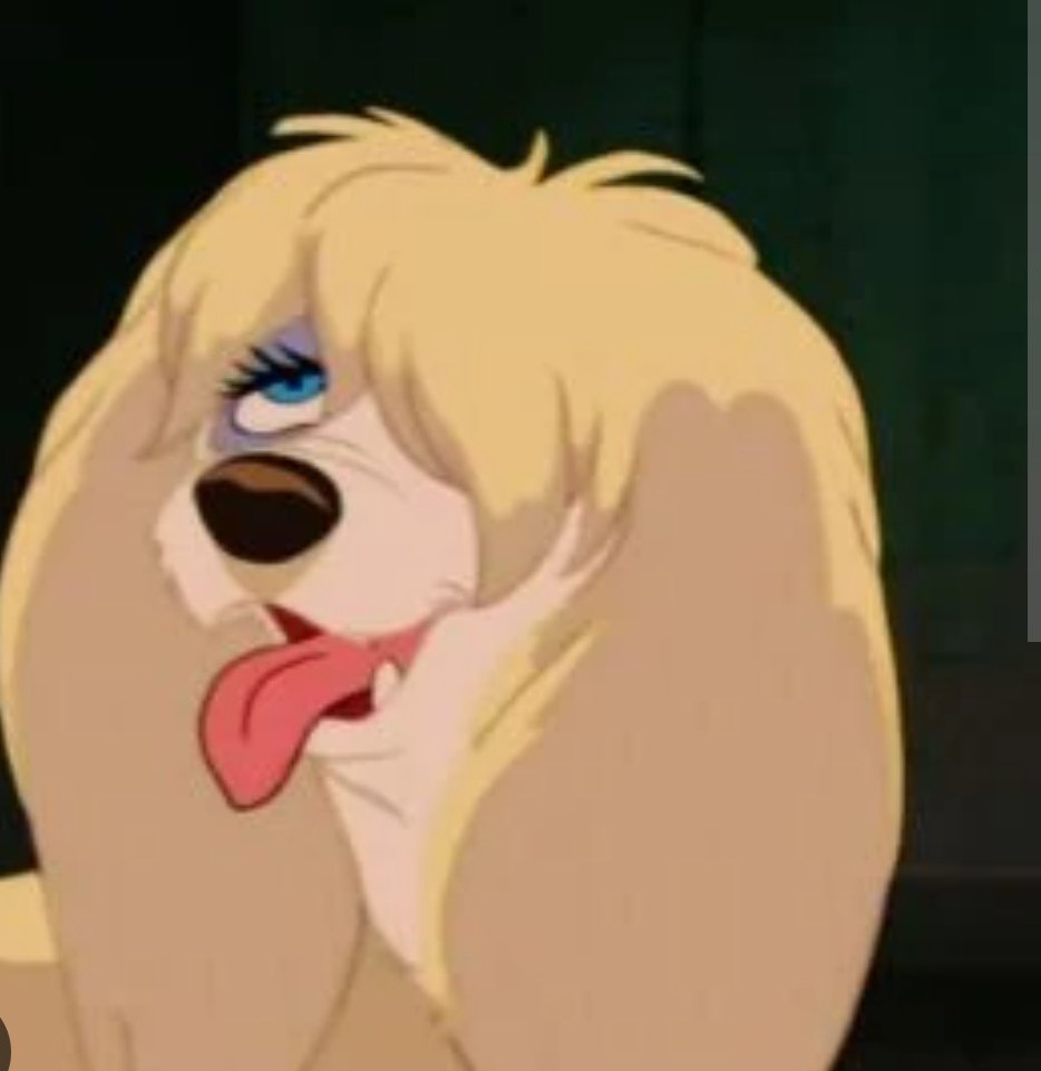 Andy A. (@andypne3) on Twitter photo 