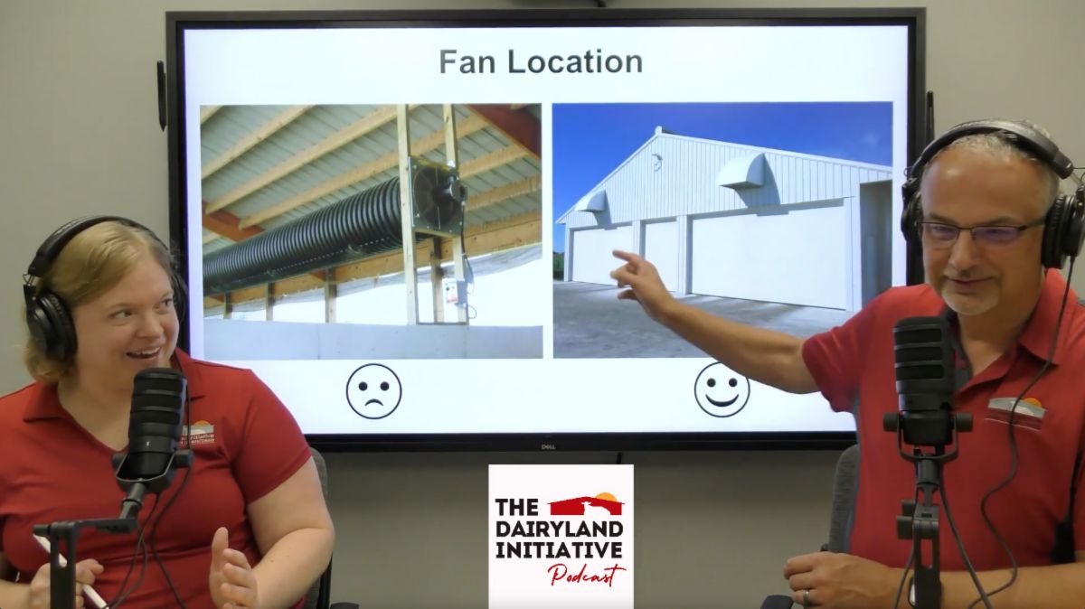 Designing a PPTV system is one thing, but putting it in the barn is another. Episode 12 covers the practical aspects of PPTV installations so that you're confident the system is working the  next time you see one in a barn. linktr.ee/thedairylandin…