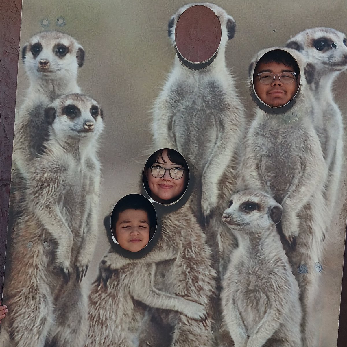 Christine Avila tweet media