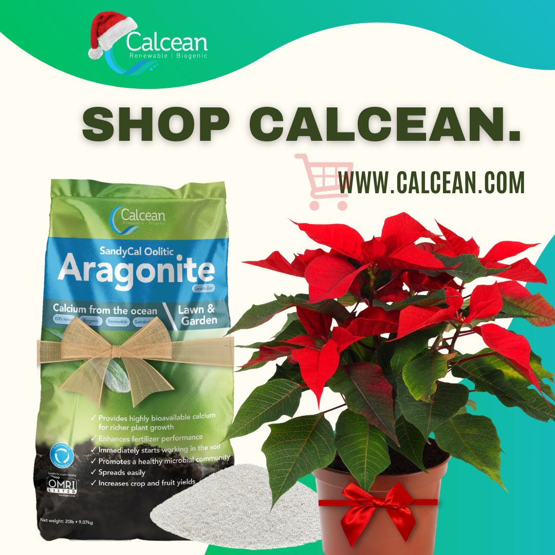 calcean's tweet photo. MISSING SOMETHING?? ⁉
That's a lovely potted plant you've gotten your #plantparent co-worker...help them keep it green and healthy by including a bag of calcium for strong roots and healthy soil! 🥗
🧐 LEARN MORE: https://t.co/PSLyCV1oNt
🛒 https://t.co/EyAMQfOwPM https://t.co/vleIBtad2Z