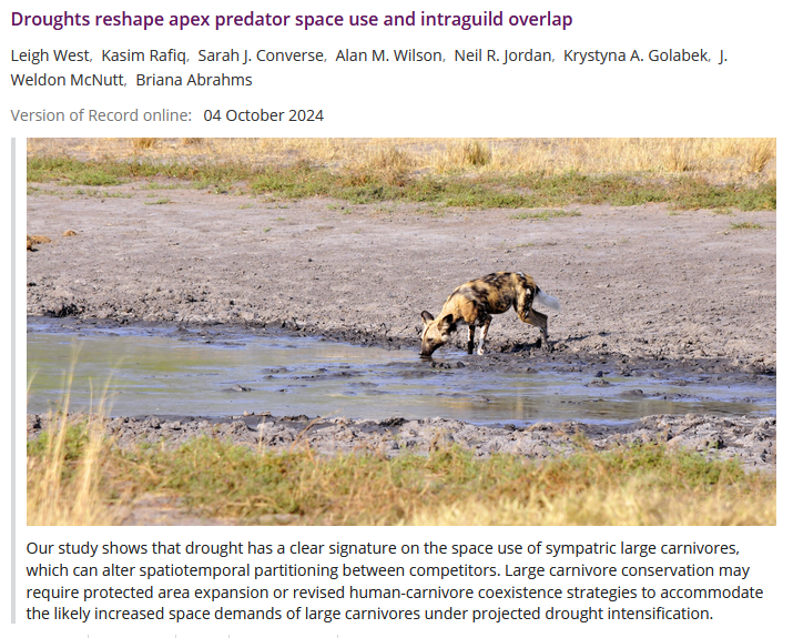 Center for Ecosystem Sentinels (@sentinelspecies) on Twitter photo Congrats Leigh West on lead author in <a href="/AnimalEcology/">Journal of Animal Ecology</a>! Read the full paper here: doi.org/10.1111/1365-2… Congrats Leigh West on lead author in <a href="/AnimalEcology/">Journal of Animal Ecology</a>! Read the full paper here: doi.org/10.1111/1365-2…