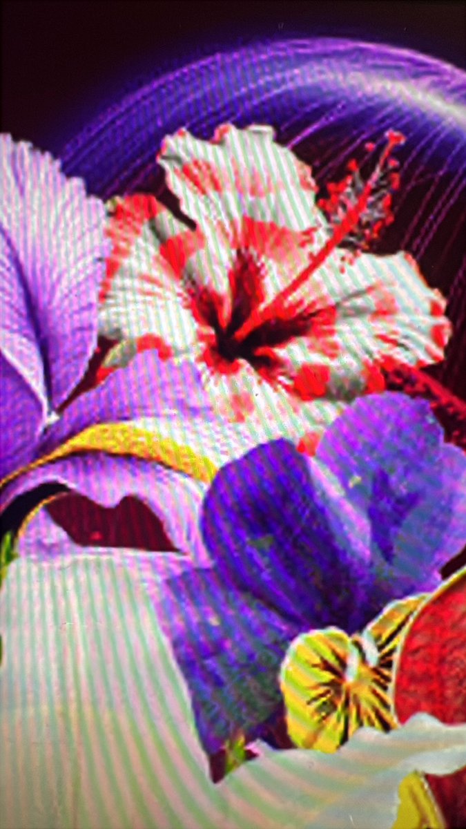 Latin America is doing great at <a href="/iaeaorg/">IAEA - International Atomic Energy Agency ⚛️</a> #IPET2024 . Many interesting studies from Brasil, Argentina , Uruguay, Cuba … Exciting times ahead in nuclear Medicine: CZT, digital PET and Theragnosis are game changers ! <a href="/acepuba/">Adriana Puente</a> <a href="/estelais/">Dra. Isabel Carvajal.</a> <a href="/MyASNC/">ASNC Society</a> <a href="/pabeda1/">Sergio Kaiser MD, PhD, FACC, FESC 🇧🇷🇮🇱🇷🇴🇺🇦</a> <a href="/FurlanWilson/">Wilson Furlan Alves</a> <a href="/SNM_MI/">SNMMI</a>