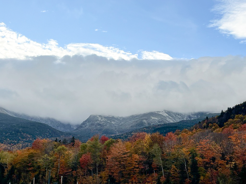 Wildcat Mountain tweet media