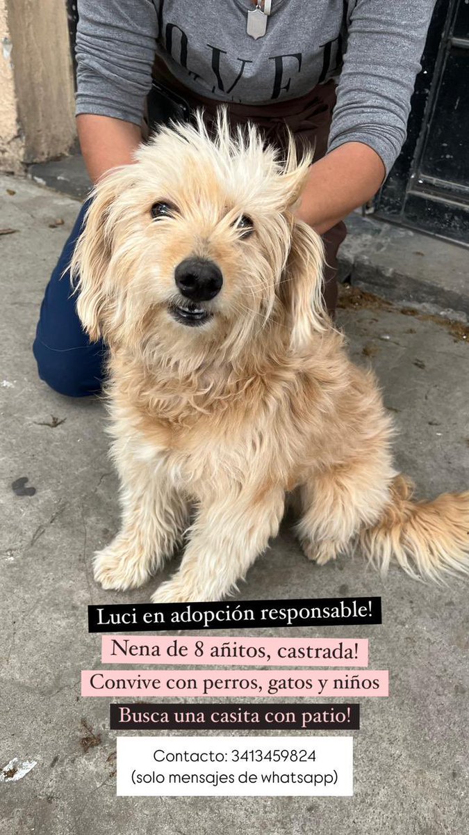 CASO EXTERNO
