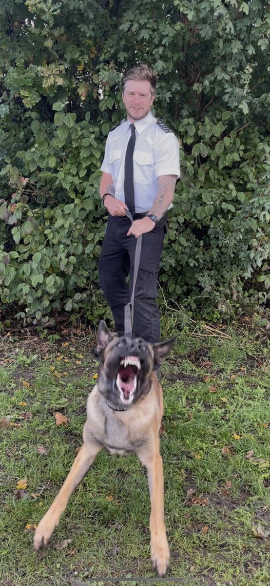 Congratulations to GPD Diego and his handler on passing thier initial course at <a href="/hmpbelmarsh/">@HMPBelmarsh</a>, Diego had a rough start in life but luckily this didn’t effect him and he bonded fiercely to his handler which helped them sail through the course.
Well done to you both 👏👏 #HMPPS #MOJ