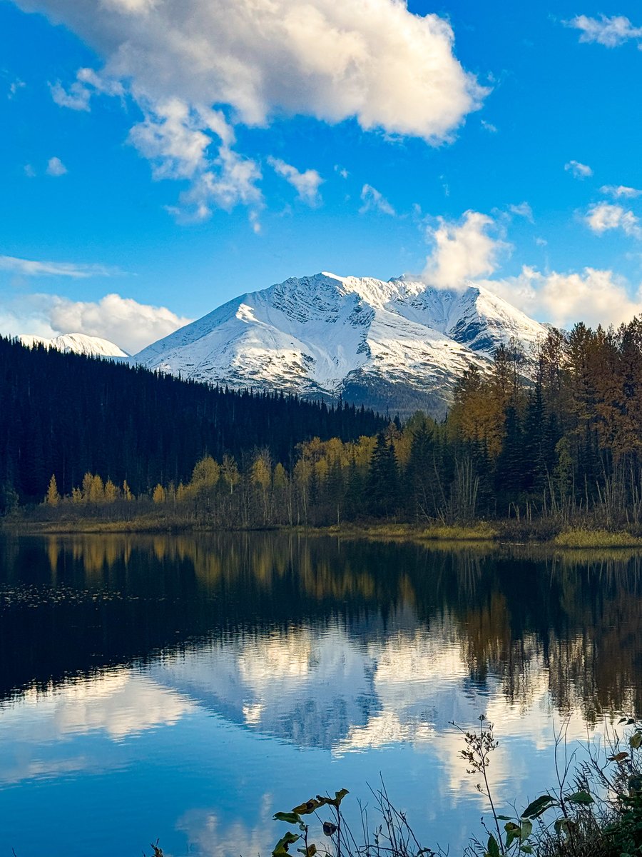 LastFrontHeli's tweet image. The first snow of the season is here. lastfrontierheli.com/news/first-sno…