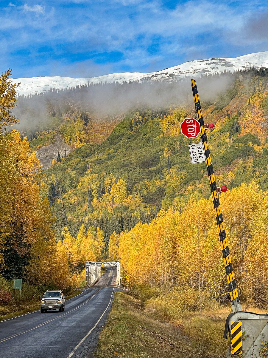 LastFrontHeli's tweet image. The first snow of the season is here. lastfrontierheli.com/news/first-sno…