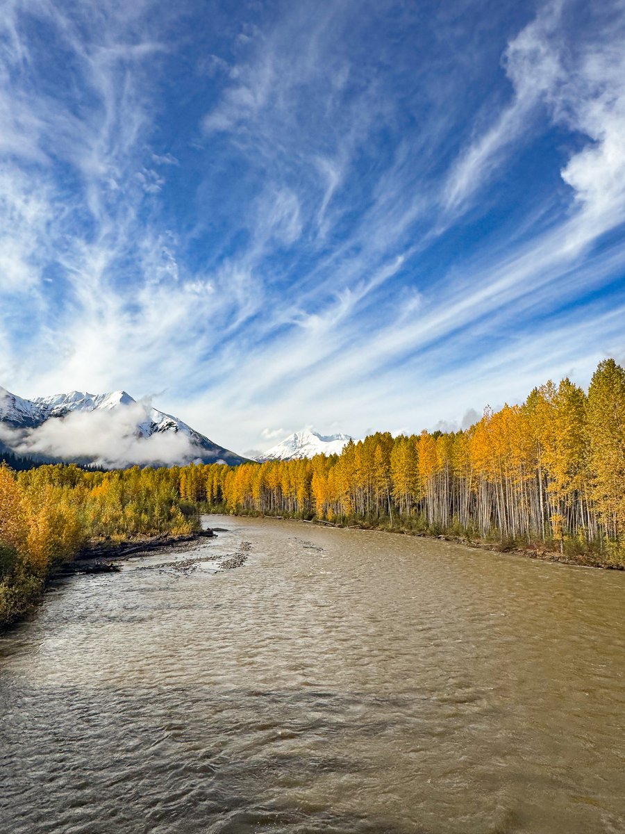 LastFrontHeli's tweet image. The first snow of the season is here. lastfrontierheli.com/news/first-sno…