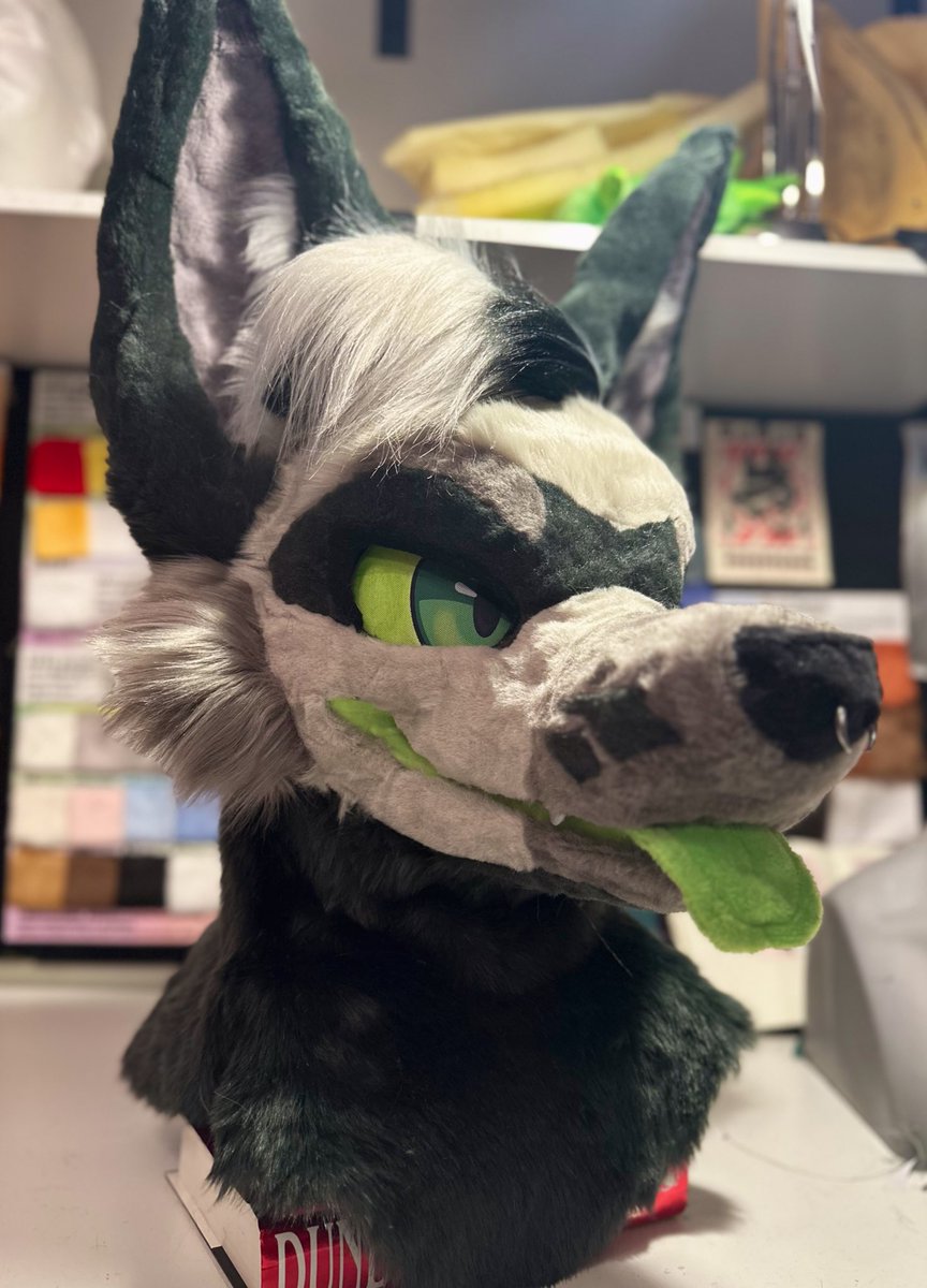 RexyJackal's tweet photo. NEW DOG ❕ https://t.co/bH4Cwz0FoU