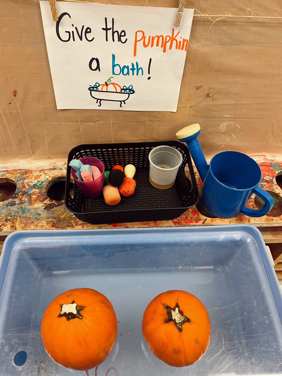 Ms. Holliday tweet media