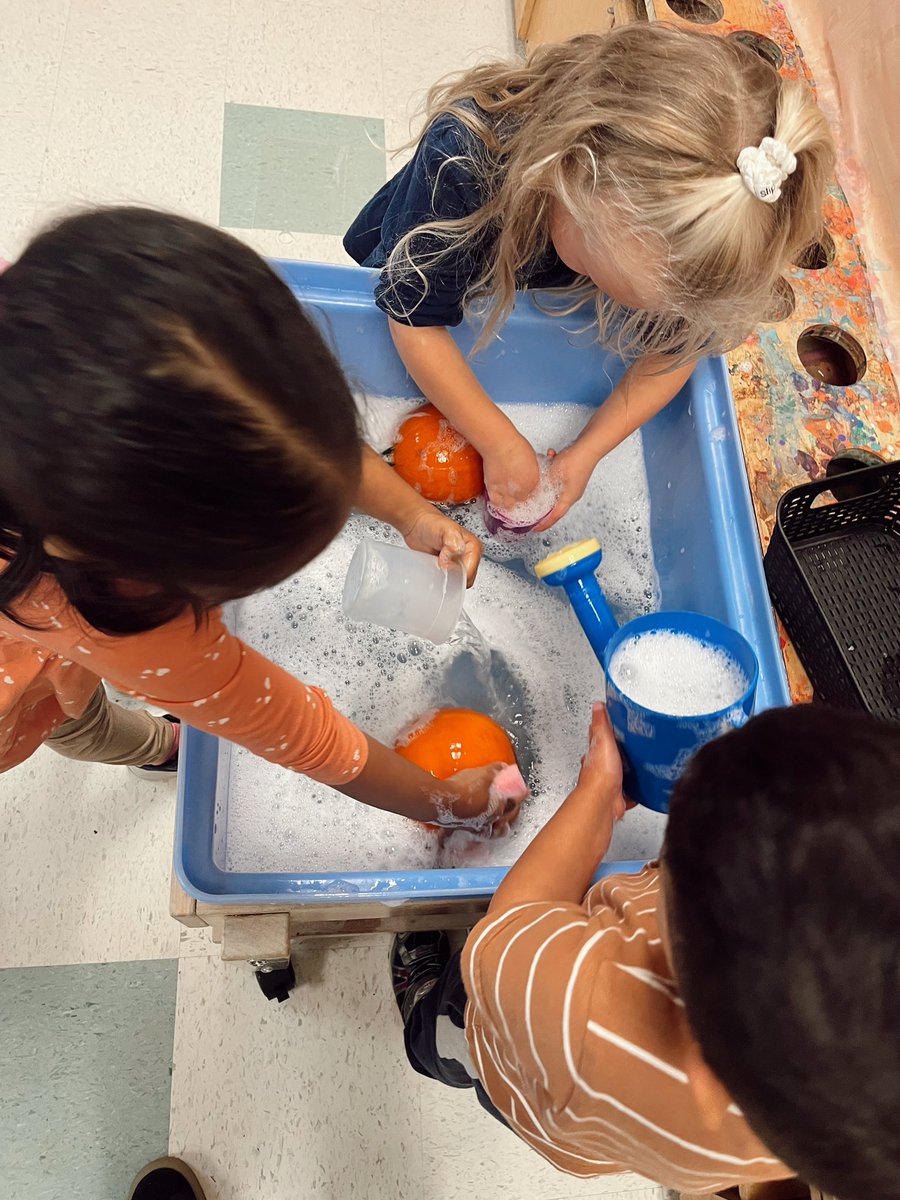 Ms. Holliday (@mshollidayocsb) on Twitter photo Give the pumpkin a bath 🛁🎃!
Fall activities are in full swing in JS3. <a href="/StLukeEllacott/">Mrs. Ellacott</a> <a href="/StLukeNepean/">St. Luke School (Nepean)</a> Give the pumpkin a bath 🛁🎃!
Fall activities are in full swing in JS3. <a href="/StLukeEllacott/">Mrs. Ellacott</a> <a href="/StLukeNepean/">St. Luke School (Nepean)</a>