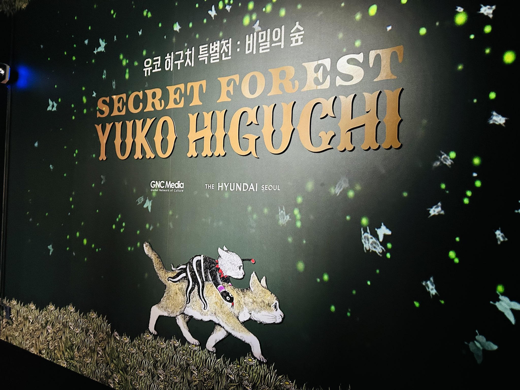 韓国限定】ヒグチユウコ SECRET 固 FOREST ポストカー ド24枚セット
