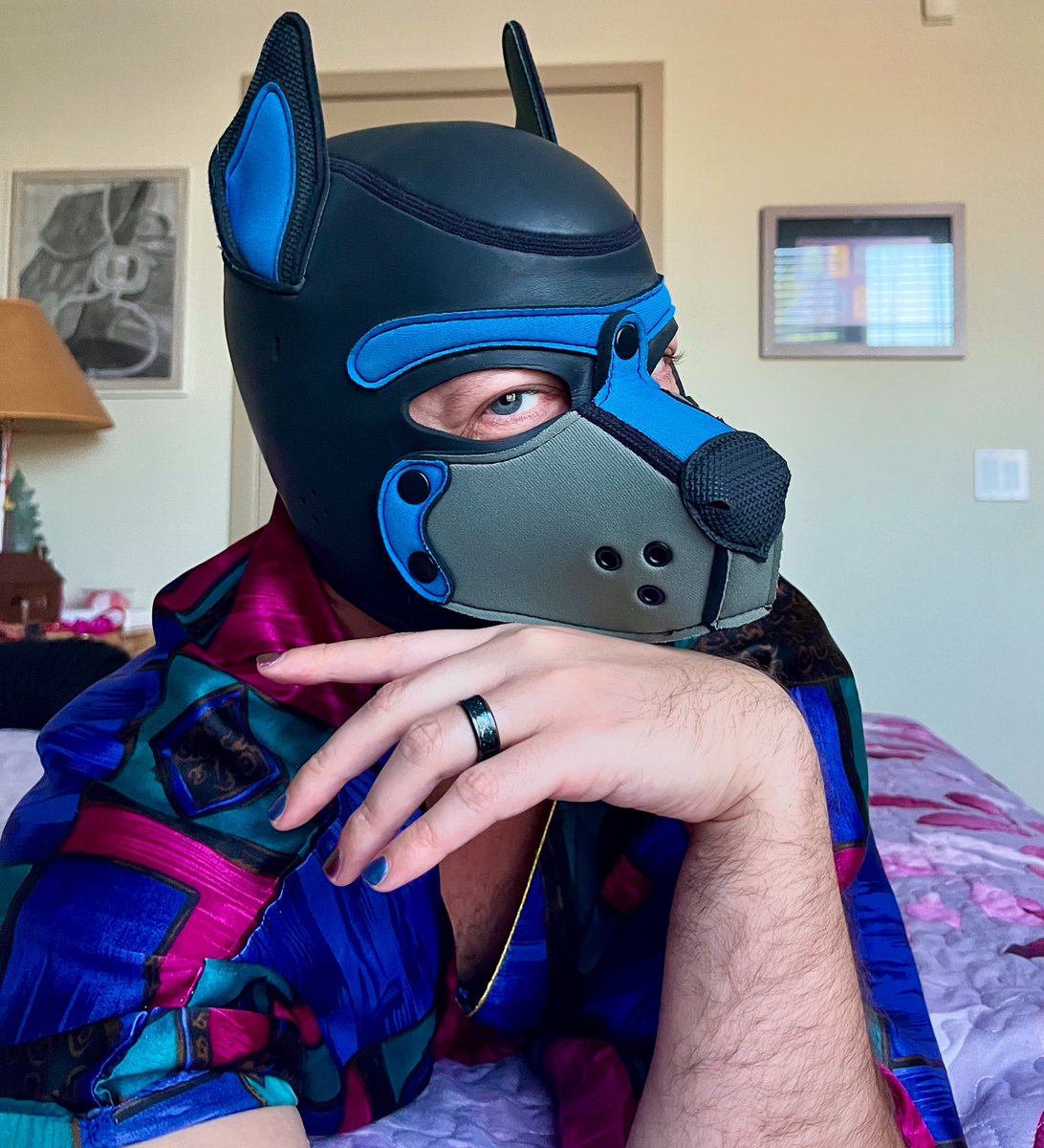 Pup Roger tweet media