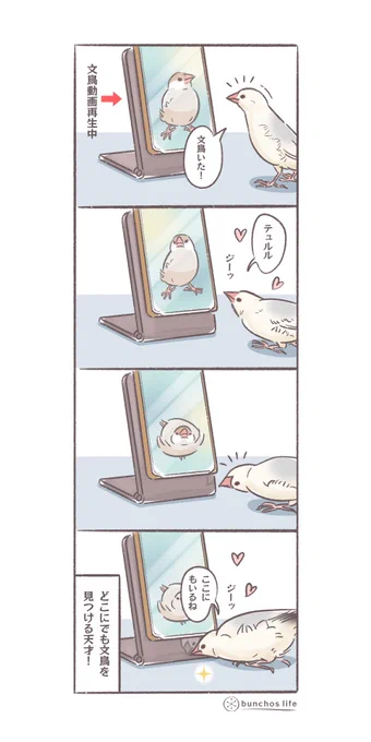 どこにでも文鳥を見つける天才
(↓ツリーにオマケあり)
#文鳥 
#4コマ漫画 