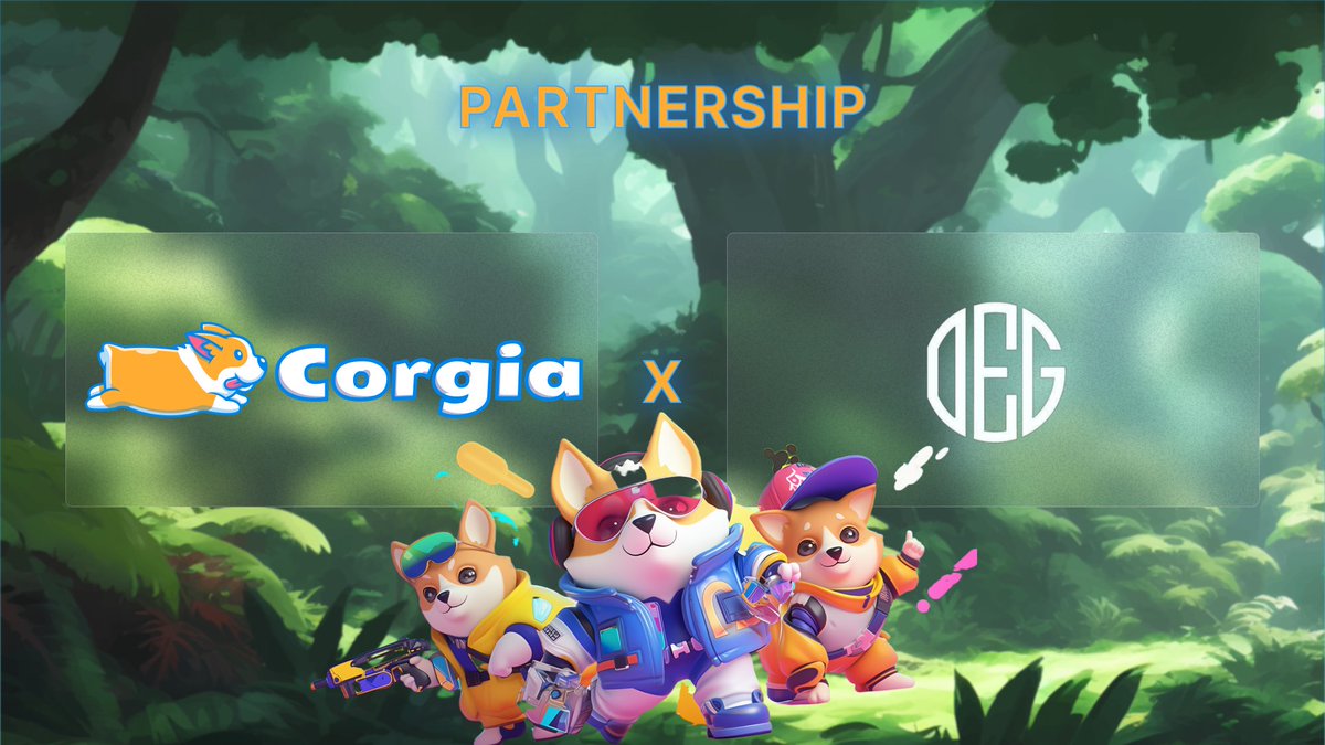 Corgia🐕 tweet media