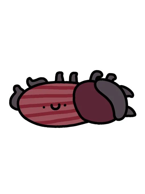 オガサワラチビクワガタ 