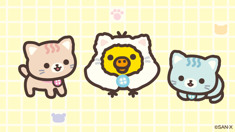 🐥0のつく日はキイロイトリの日🐥 ねこねこの湯で、おゆにゃとみずにゃ