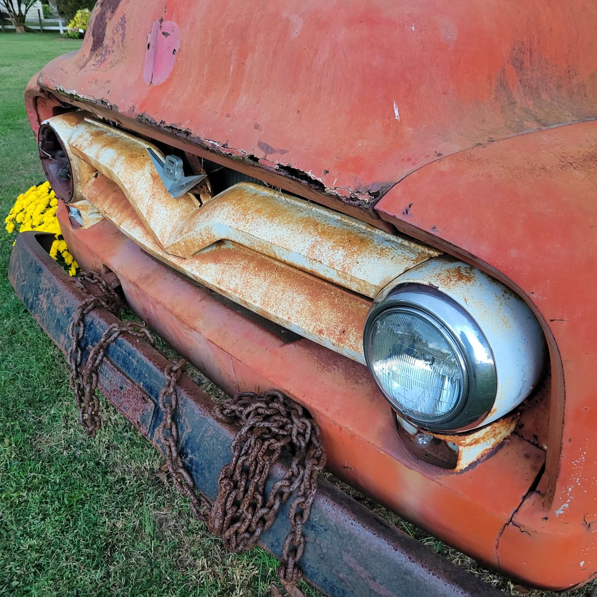 DaniStyron's tweet image. He's up next for fall deco. #55f600 #farmtruck #fallgarden @classicfordmag @Diesel1Trucks @iquitsmokingcig