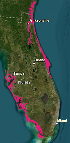 LimWeather's tweet photo. #StormSurgeWarning:#PinellasCounty-Mainland #MonroeCounty incl #TampaBay,#BrevardCounty-#NassauCounty,#Florida,#CamdenCounty-#GlynnCounty,#Georgia
#Wxtwitter #wxx #tropicswx #HurricaneMilton #flwx #hurricane #Milton #Stormsurge #Gawx https://t.co/GgJo0OsWCy
