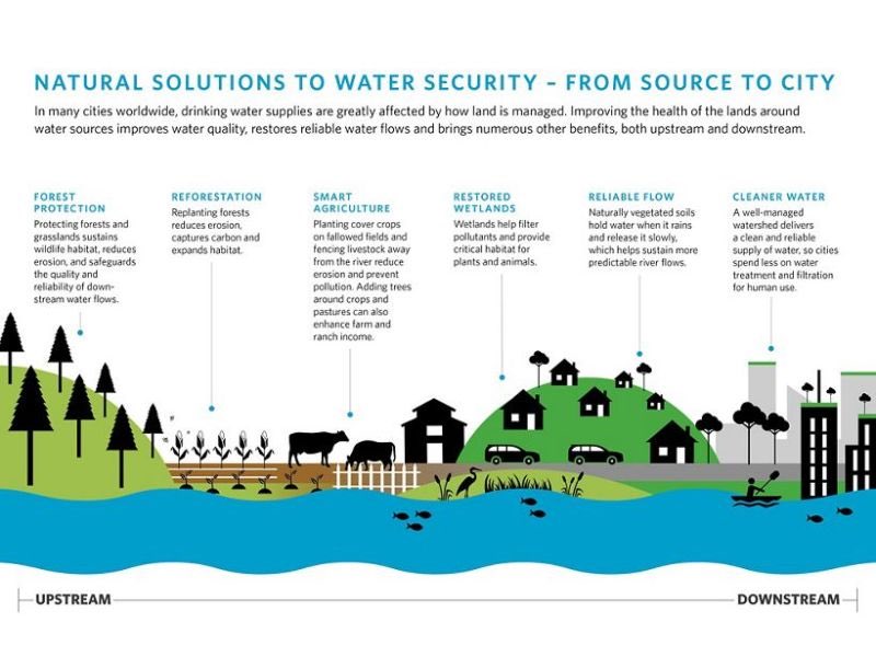 travel_with_deb's tweet image. Water security starts with nature! 🌿 From restoring wetlands and forests to using permeable surfaces in cities, natural solutions help manage water sustainably. Let’s protect watersheds, recharge aquifers, and reduce urban runoff #EcoSolutions #SustainableDevelopment
