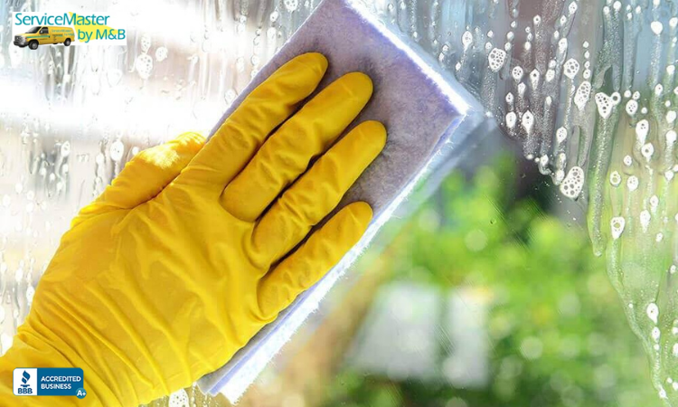 ServicemasterMb's tweet photo. Life’s too short for cleaning! Let our Chicago cleaning professionals take care of the mess while you enjoy more free time. Book today and get the best service in town!

 https://t.co/CkMeA4sLm8
 #ChicagoCleaningService #CleanSpaces #FreshAndClean https://t.co/Ii1HkpH2I8