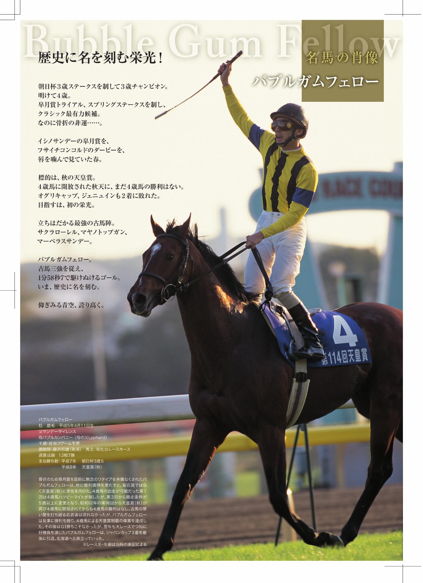 【競馬写真】バブルガムフェロー【第114回天皇賞(秋)G1】 バブルガムフェロー 1996年(平成8年)第114回天皇賞(秋)(G1