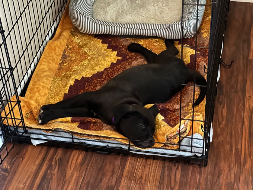 June Bash tweet media