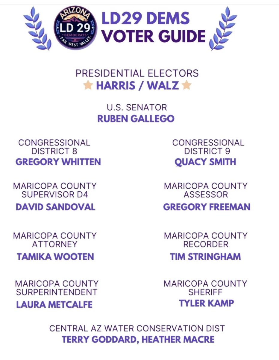 AZ LD 29 Democrats 🇺🇸 tweet media