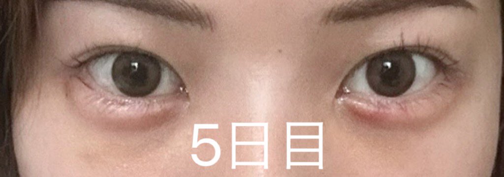 み🐈 tweet media