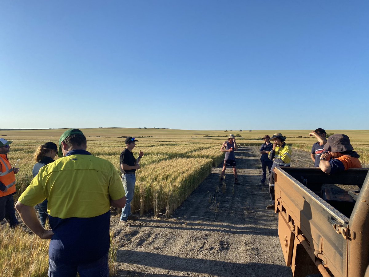 Thanks <a href="/jsawyer97/">Jack Sawyer</a> for an informative afternoon on wheat and barley varieties coming through with <a href="/3FINFINFIN/">3FIN</a> <a href="/GRDC_NVT/">GRDC National Variety Trials (NVT)</a>