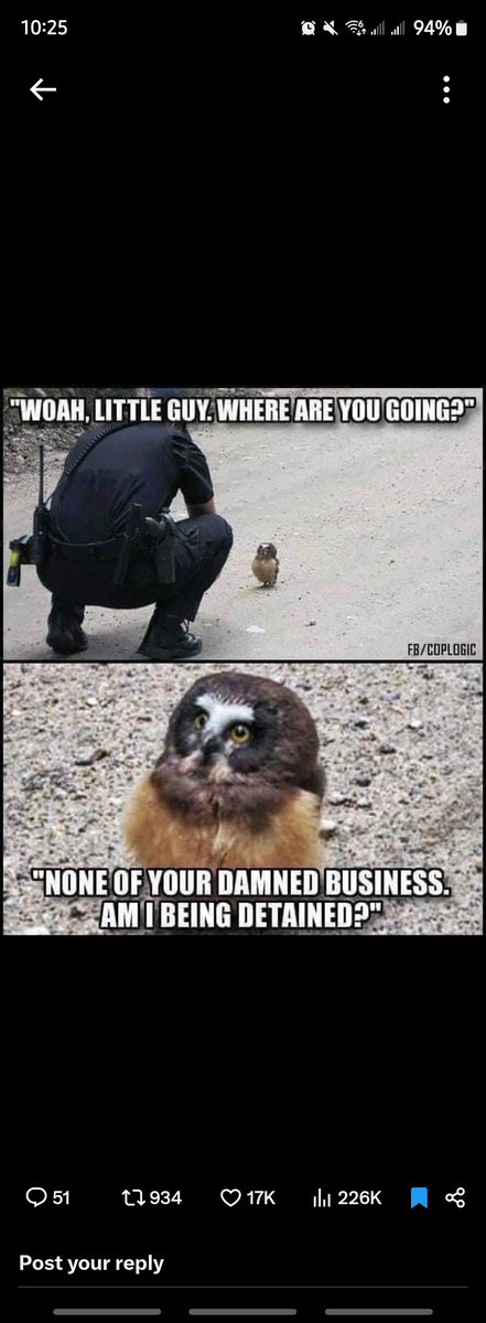 mrschatgpt4's tweet image. Nothing to see here... 

Just Homeland Security 1 hour east of #Asheville, North Carolina.  

#Hurricane #Helene