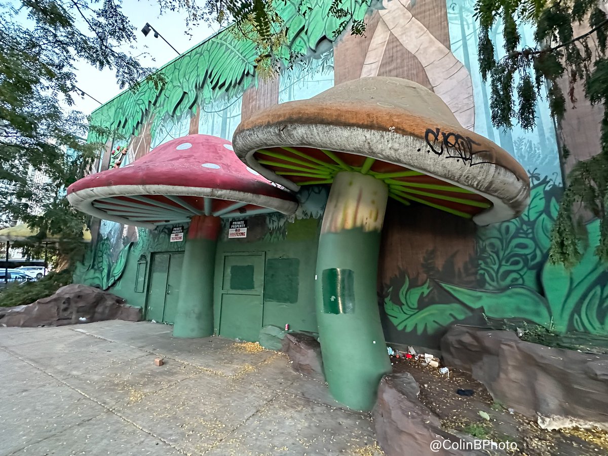 An ancient relic of Chicago's former grandeur.