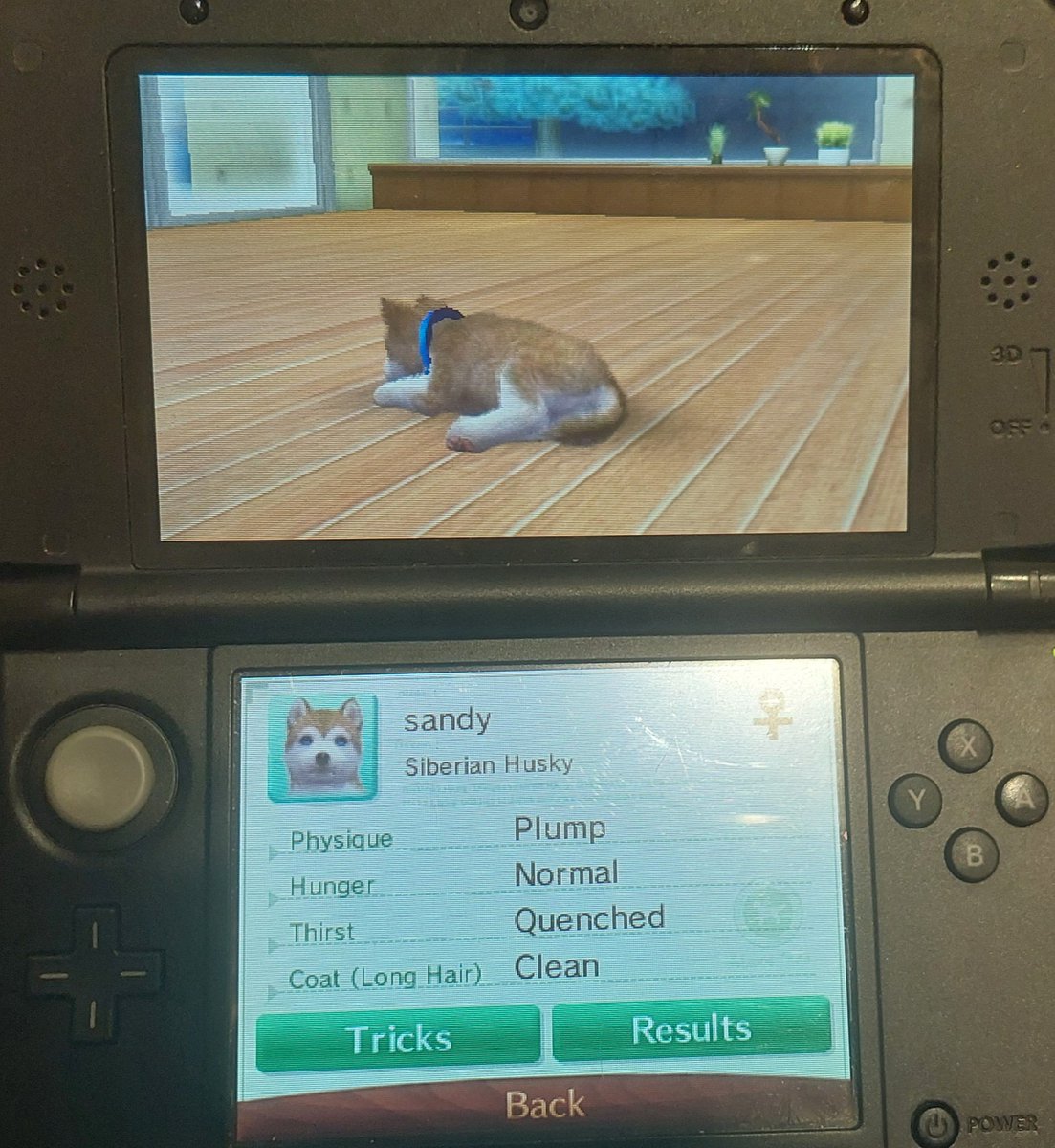 Liminal_Doctor's tweet image. Heartbreak is buying a second hand Nintendogs game and realising you have now adopted a long since abandoned (digital) dog.

#Nintendo #nintendogs #nintendocatsanddogs
#nintendodogsandcats
#childhoodgames