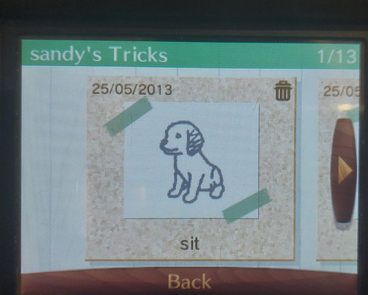 Liminal_Doctor's tweet image. Heartbreak is buying a second hand Nintendogs game and realising you have now adopted a long since abandoned (digital) dog.

#Nintendo #nintendogs #nintendocatsanddogs
#nintendodogsandcats
#childhoodgames