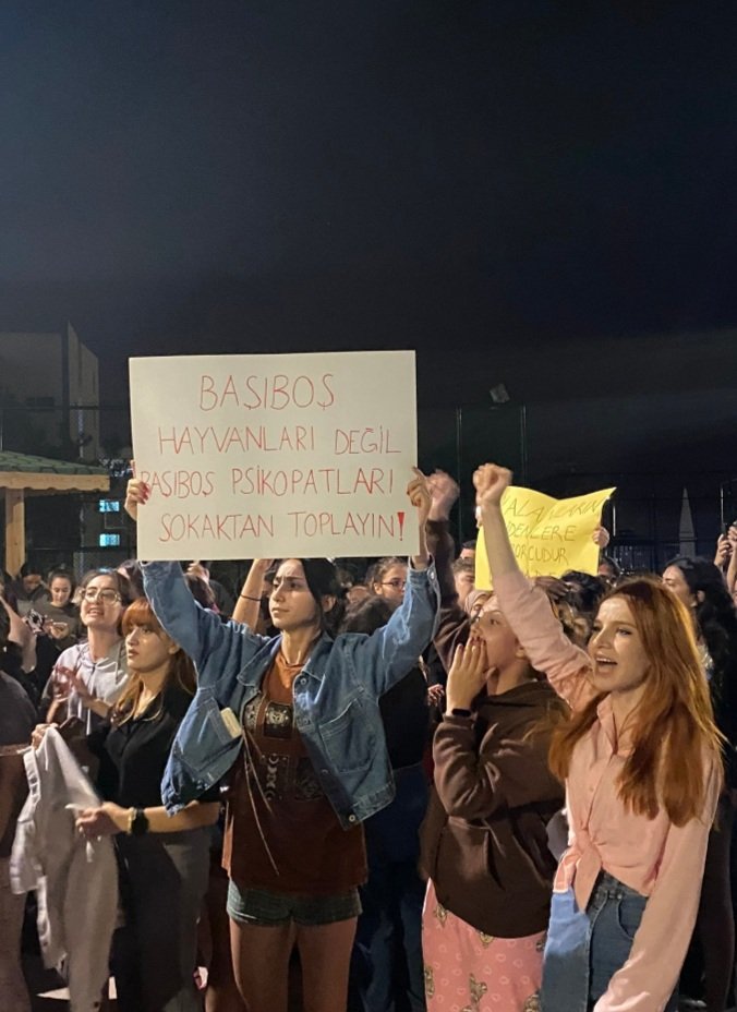 SUSMA SUSTUKÇA SIRA SANA GELECEK...! 
#mersinkyk