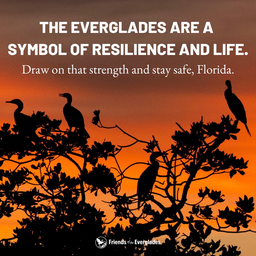 The Everglades — the ever-beating heart of Florida — are a symbol of resilience and life, constantly remaining through generations of battles. Let’s draw from that strength and remember we are resilient, too. 

Stay safe, Florida, and look out for one another.