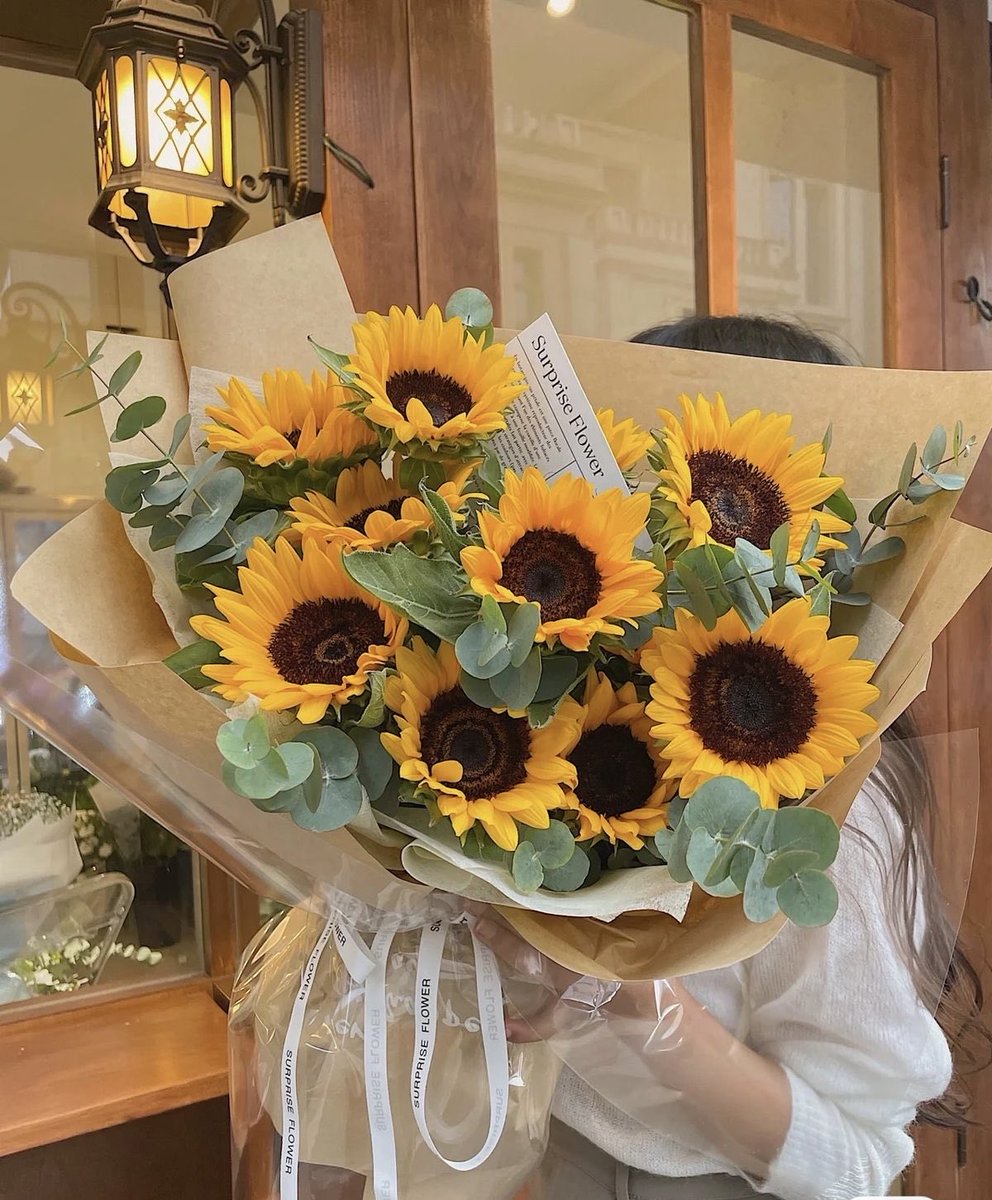 sunflowersig tweet picture