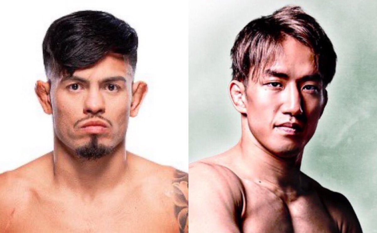 sharakiro's tweet photo. ロイバルは #UFC305(8月18日)の朝倉海戦を条件が合わず断ってました！

#UFCVegas98 で平良達郎選手に勝ったら、パントージャにリベンジするか、日本大会があるなら朝倉海選手と戦いたいそうです！！

情報元https://t.co/RhS8d4rzLn https://t.co/sgNMO1GrNQ