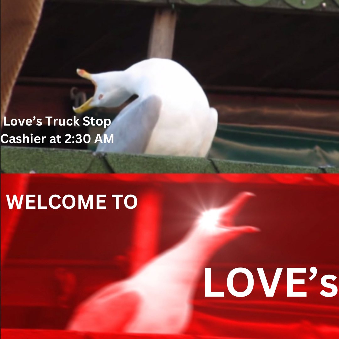AlabamaSandman's tweet photo. Every… Friggin’… Time.
#trucker
#truckerlife
#trucking https://t.co/05ZBRufc3I
