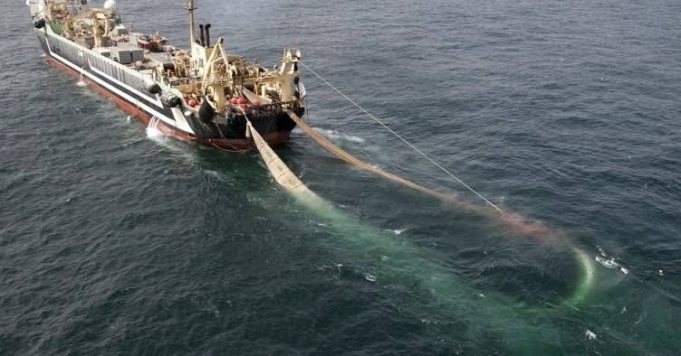 🐯 MENGENAL PUKAT HARIMAU

"loh? kok bahas harimau? bukannya mau bahas laut selama 30 hari?"

pukat harimau beda yagesya sama harimau di hutan, walau sama-sama menerkam, tapi pukat harimau merusak banyak hal 🥲

yuk kita bahas!
[thread belajar bareng]