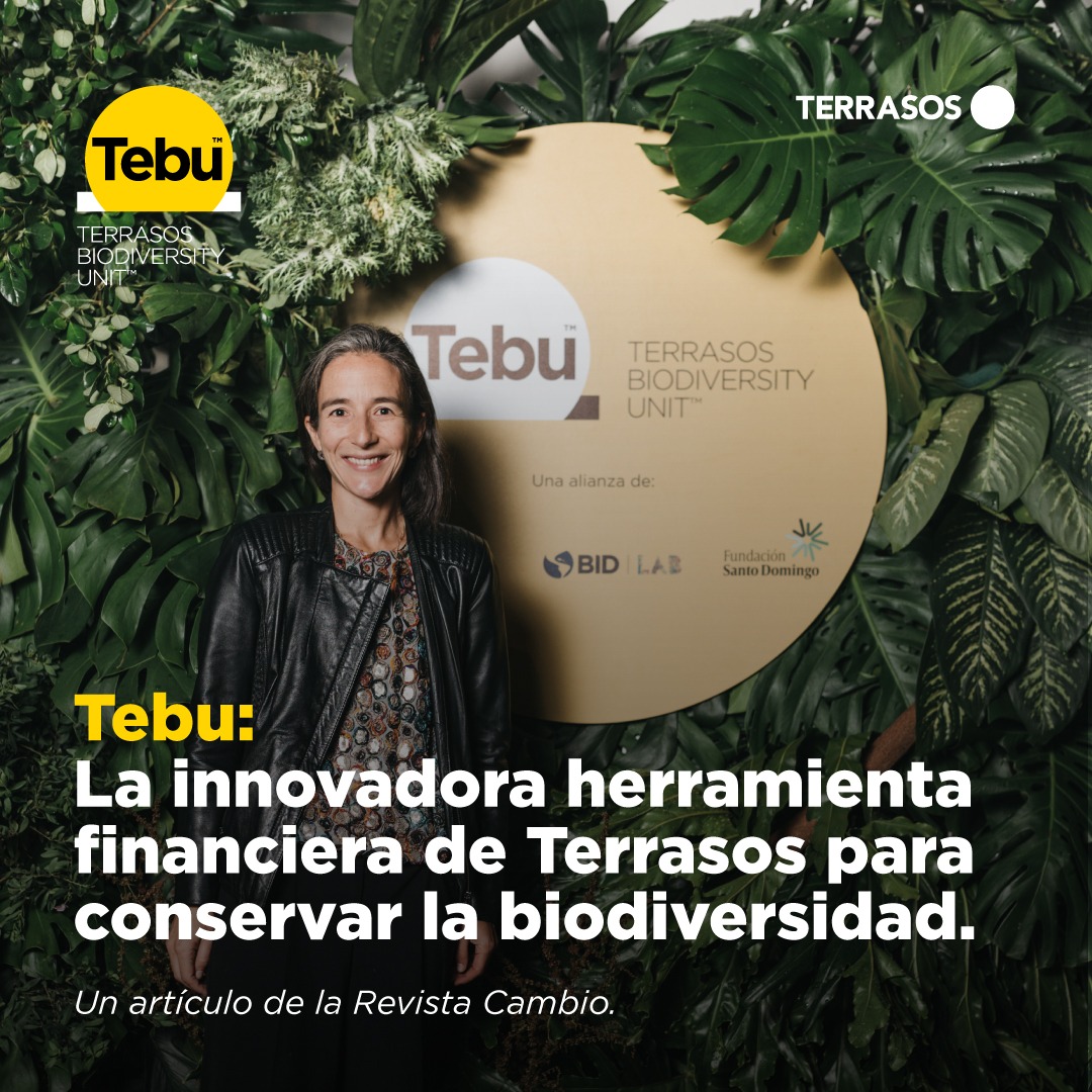 TerrasosCo's tweet photo. Descubre cómo TEBU está transformando la conservación en Colombia, generando beneficios económicos y nuevas oportunidades de inversión. Únase a este enfoque innovador que protege la Biodiversidad. 
Lea el artículo completo aquí https://t.co/3Gqc6En1Lz https://t.co/88bk1QvrKR