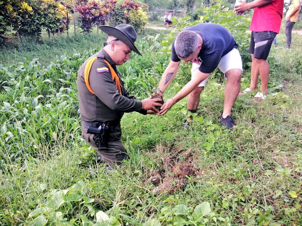 PoliciaMonteria's tweet photo. En la vereda Manguelito, junto a Cerete Verde y la comunidad, sembramos 60 plántulas de Mango, Níspero, Aguacate y Guanábano, aportando a la protección del ambiente y los recursos naturales. 🌱 #ProtecciónAmbiental @CarabinerosCol https://t.co/Ciq1kkq1t2