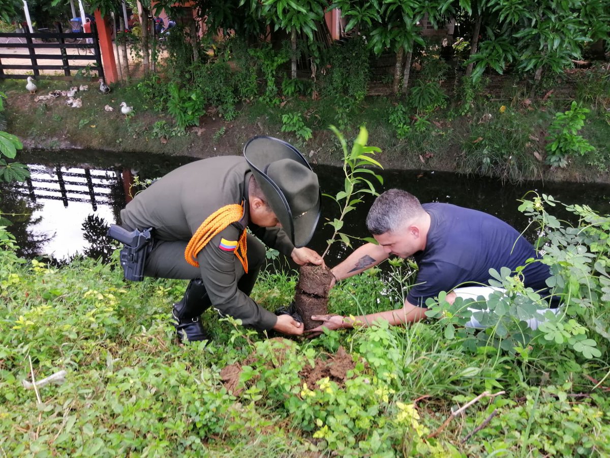 PoliciaMonteria's tweet photo. En la vereda Manguelito, junto a Cerete Verde y la comunidad, sembramos 60 plántulas de Mango, Níspero, Aguacate y Guanábano, aportando a la protección del ambiente y los recursos naturales. 🌱 #ProtecciónAmbiental @CarabinerosCol https://t.co/Ciq1kkq1t2