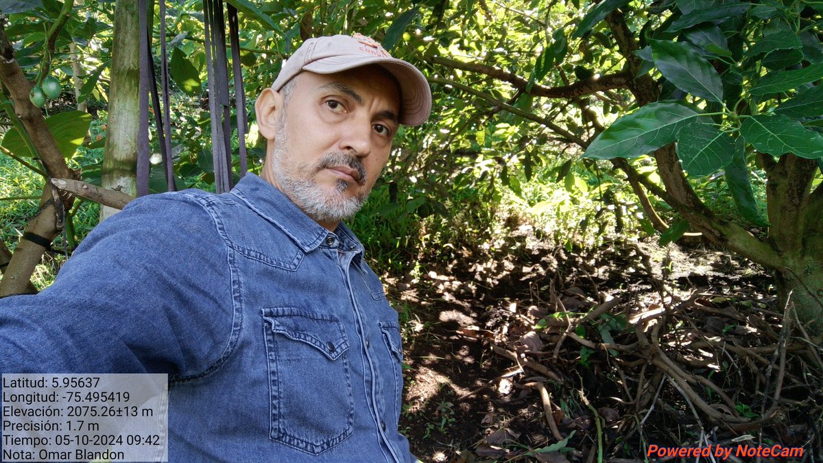 MauricioRendonV's tweet photo. Edad: 48
Estatura: 1,71
Signo: Virgo 
Pie: 41
Fobia: a los globos 
Cantante fav: cafeta cuba 
Lugar fav: la playa 🏝️ y mar cristalino🌊San Andrés 
Comida fav: trucha marinera 
Bebida fav: Café ☕️ 
Alcohol: Vino🍷
Día de cumpleaños: 29 Agto
Color: Azul

Los leo👇🏽 https://t.co/n4TbHVIq3G