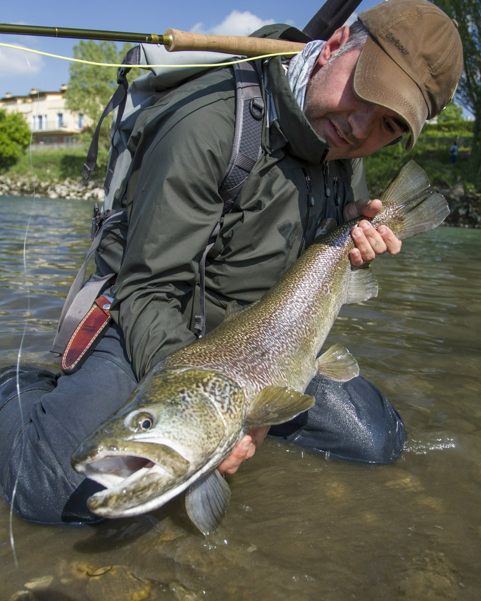 Saltwateronfly's tweet photo. Take the Fly Fishing Adventure
of a Lifetime. Go to Italy.
Booking for 2025
https://t.co/NcokLCyoK9
:
#italy #sardinia #onthefly #wildlife #alaskanwilderness #dollyvarden #alaskanlodge #salmon #troutfishing #flyfishingaddict #salmonflyfishing #flyfishmontana #yellowstonecabinrentals #madisonriver #yellowstoneriver #saltwateronthefly #flyfishing #flyfishiceland #flyfishitaly #flyfishdenmark #alaskafishingtrips