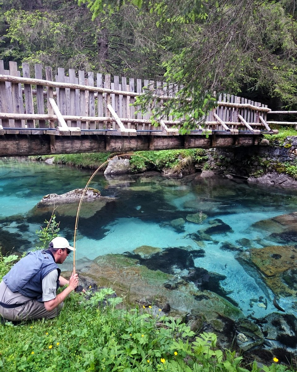 Saltwateronfly's tweet photo. Take the Fly Fishing Adventure
of a Lifetime. Go to Italy.
Booking for 2025
https://t.co/NcokLCyoK9
:
#italy #sardinia #onthefly #wildlife #alaskanwilderness #dollyvarden #alaskanlodge #salmon #troutfishing #flyfishingaddict #salmonflyfishing #flyfishmontana #yellowstonecabinrentals #madisonriver #yellowstoneriver #saltwateronthefly #flyfishing #flyfishiceland #flyfishitaly #flyfishdenmark #alaskafishingtrips