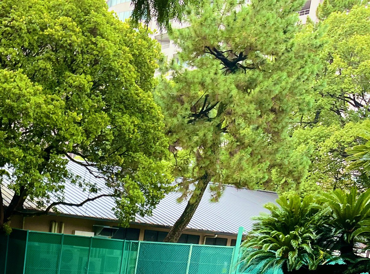 おはようございます☀️
朝が寒くなりお布団からなかなか出れなくなったリンです！
みなさん体調は崩されてないですか？
暖かい飲み物が美味しくなる時期になりましたのでホッと一息つきたいですね☕️
本日もよろしくお願いします🙇‍♀️
朝の散歩が気持ちがいいです✨️
 #企業公式つぶやき部