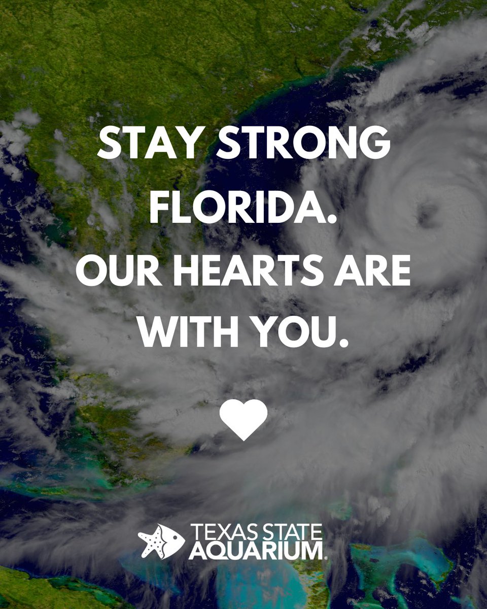 Texas State Aquarium (@txstateaquarium) on Twitter photo Stay safe, we are thinking of you. Sending our support to our AZA partners <a href="/floridaaquarium/">The Florida Aquarium</a>, <a href="/CMAquarium/">Clearwater Aquarium</a>, <a href="/ZooTampa/">ZooTampa at Lowry Park</a> and all the people in the area. Stay strong, Florida! 💙
#florida #hurricane #hurricanemilton #storm #floridians #floridan #storms Stay safe, we are thinking of you. Sending our support to our AZA partners <a href="/floridaaquarium/">The Florida Aquarium</a>, <a href="/CMAquarium/">Clearwater Aquarium</a>, <a href="/ZooTampa/">ZooTampa at Lowry Park</a> and all the people in the area. Stay strong, Florida! 💙
#florida #hurricane #hurricanemilton #storm #floridians #floridan #storms