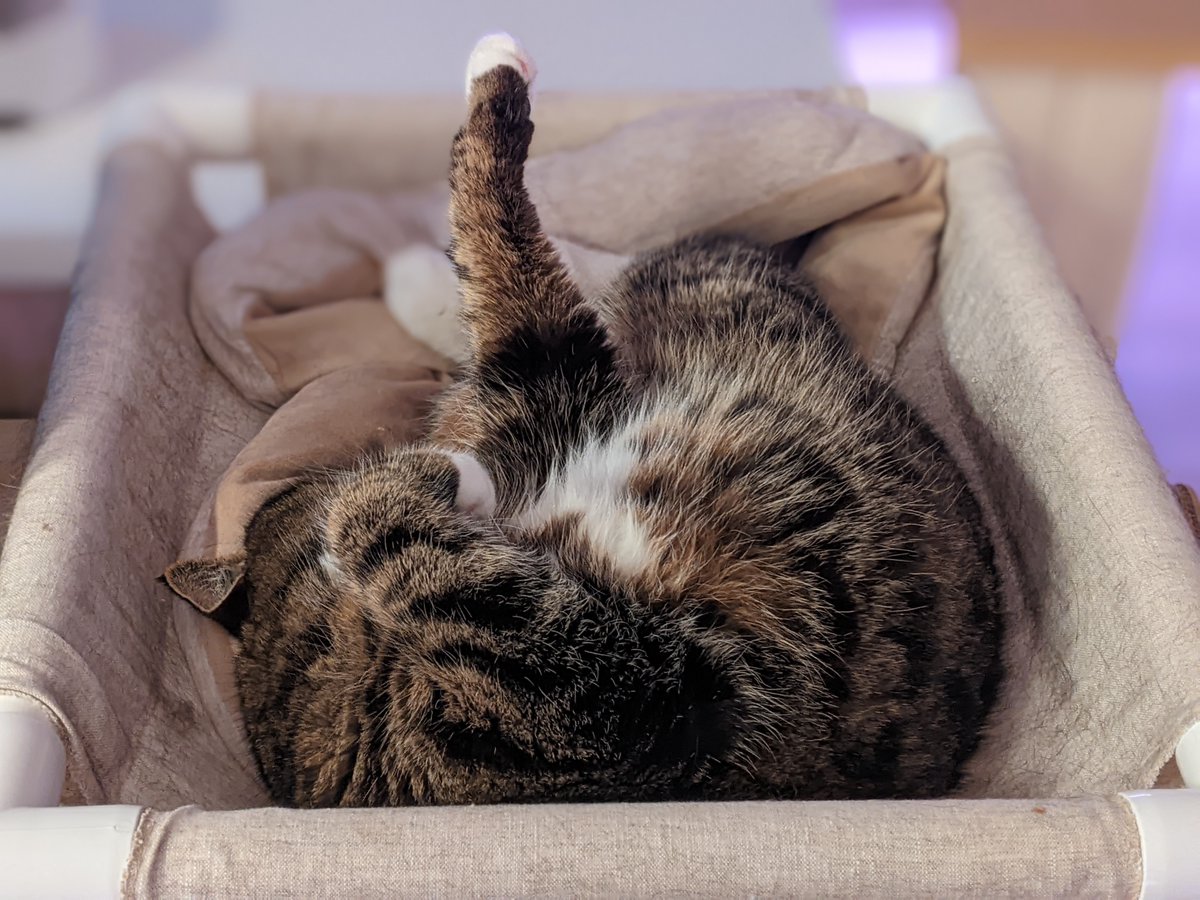 NW Editors Guild (Find us on other socials) tweet media